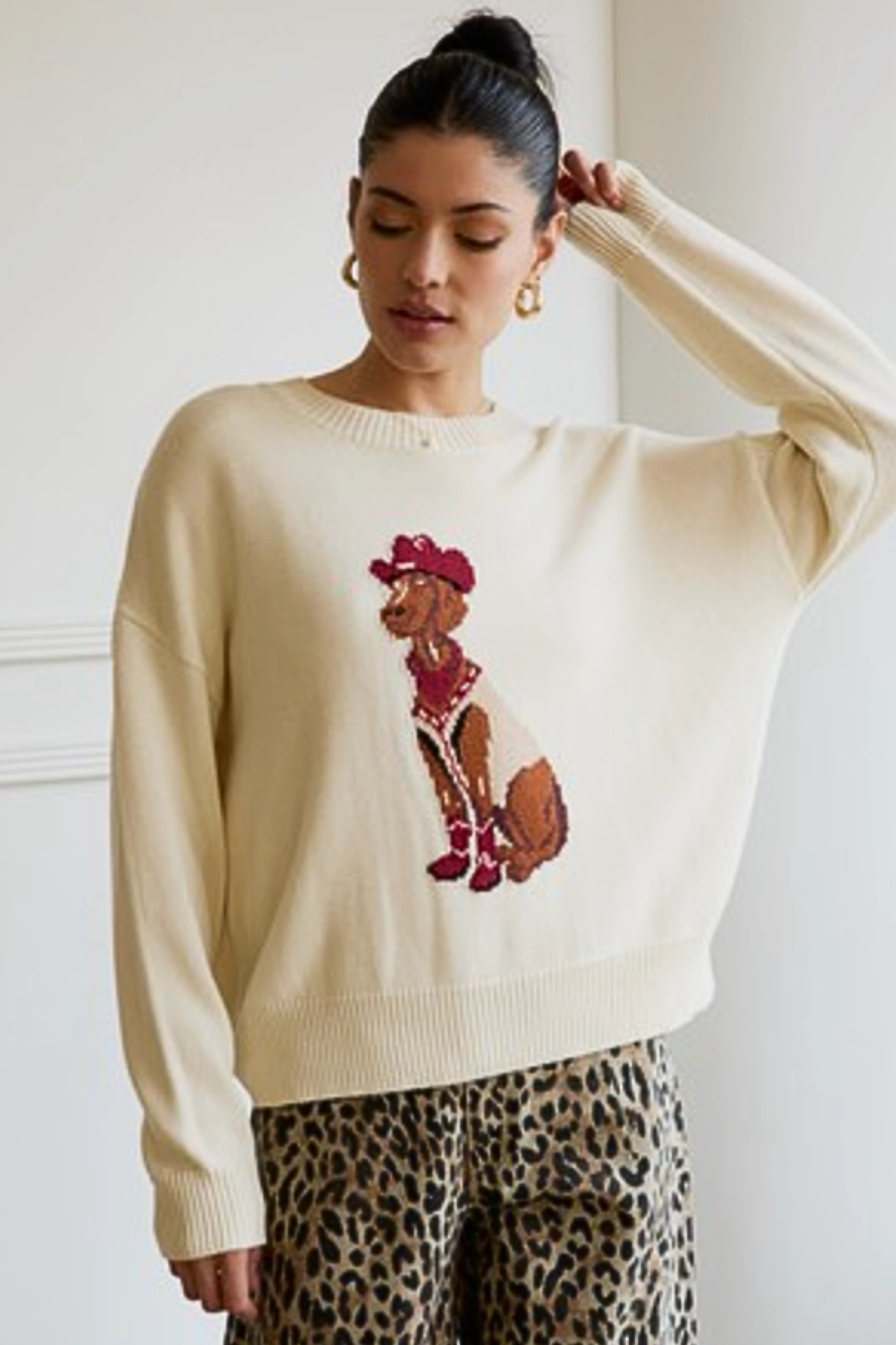 Cowboy Dog Sweater Soft Texture