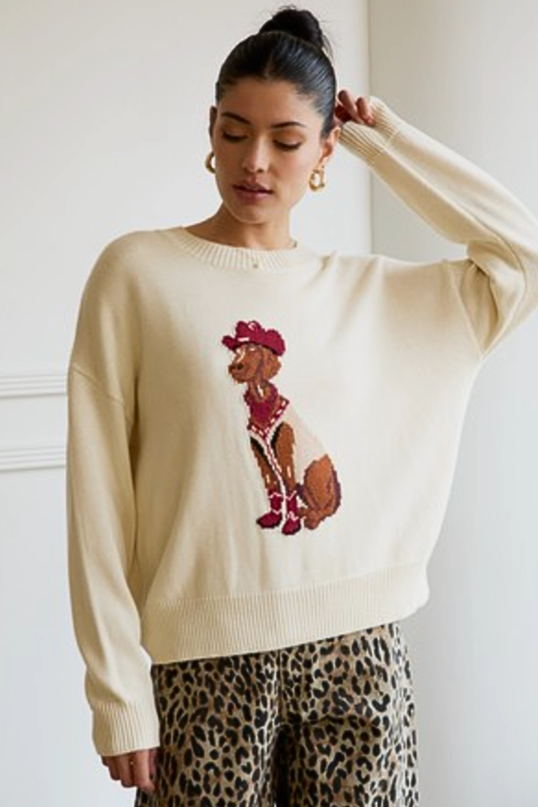 Simple Chic Cowboy Dog Sweater