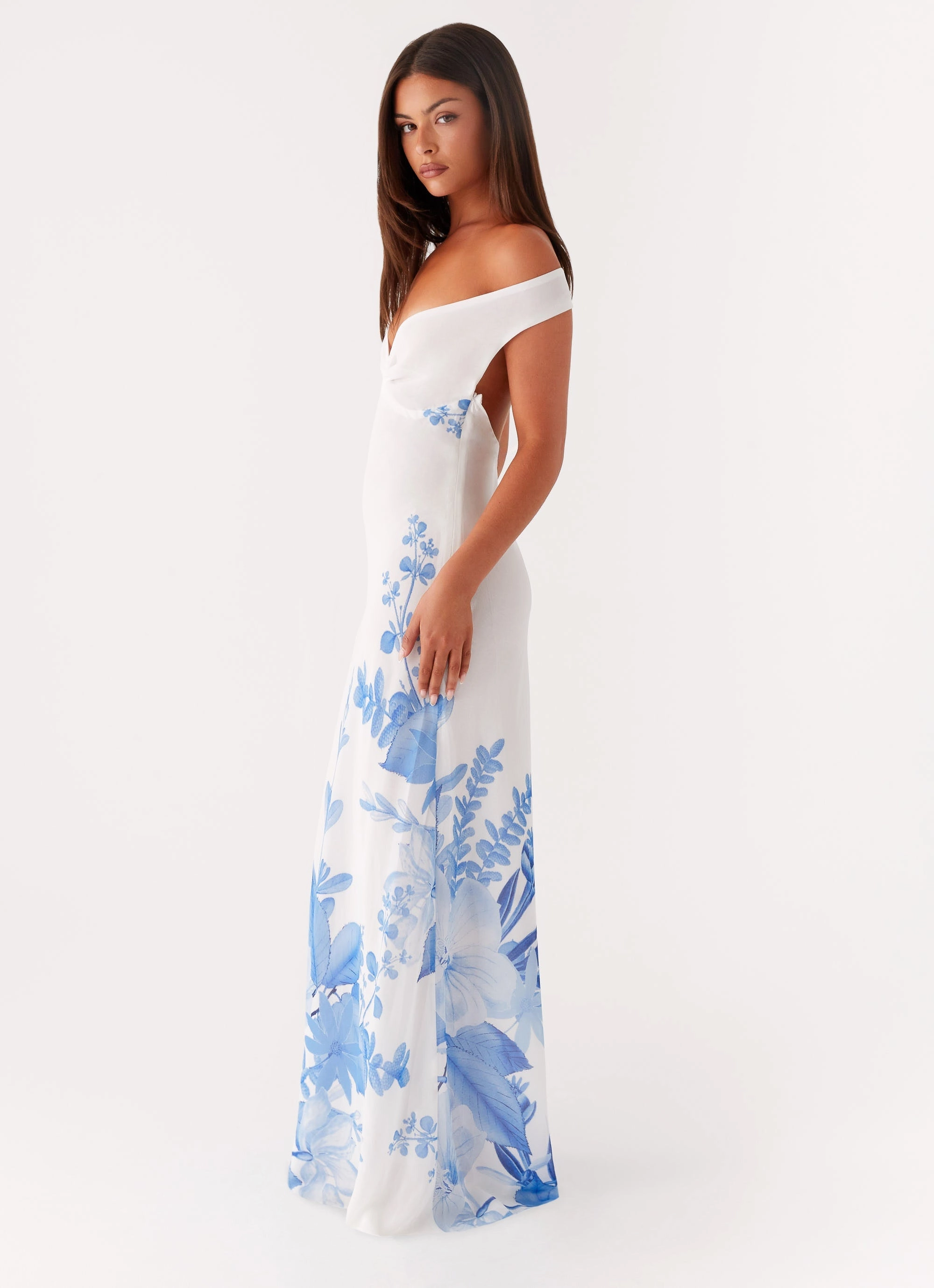 Krissa Maxi Dress - Blue Floral Family Vibe Elegant Appearance