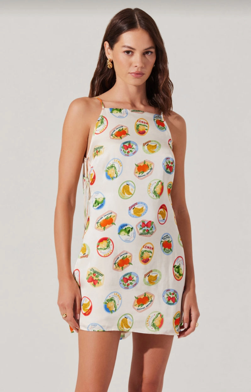 Day To Night Smooth Edge Samira Dress in Ivory Fruit Cocktail