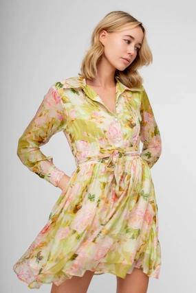 All Occasion Luxe Appeal SAZAN PRINT LIME DRESS
