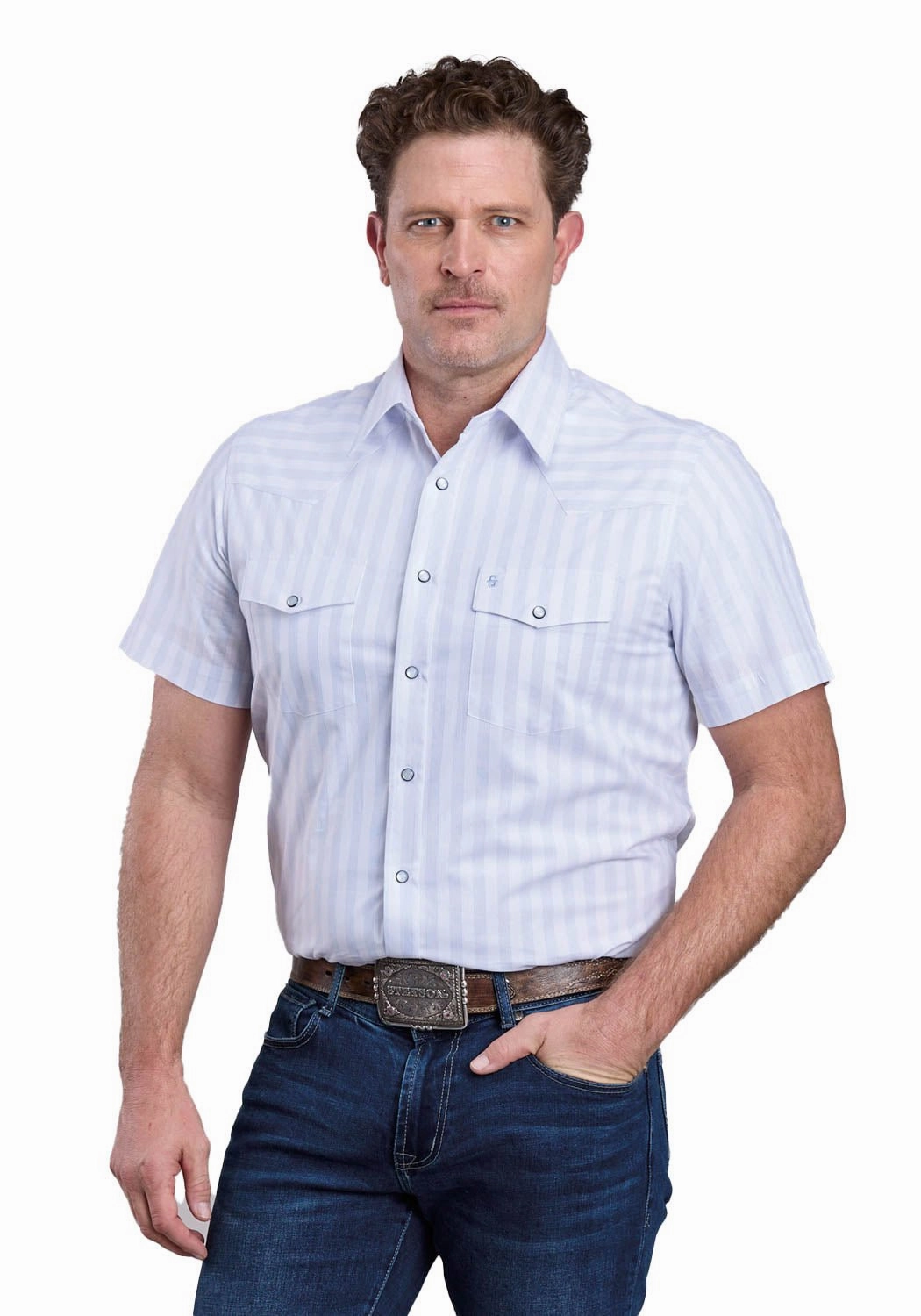 Non Iron Stetson Mens 2769 Western Stripe Blue/White 100% Cotton S/S Shirt