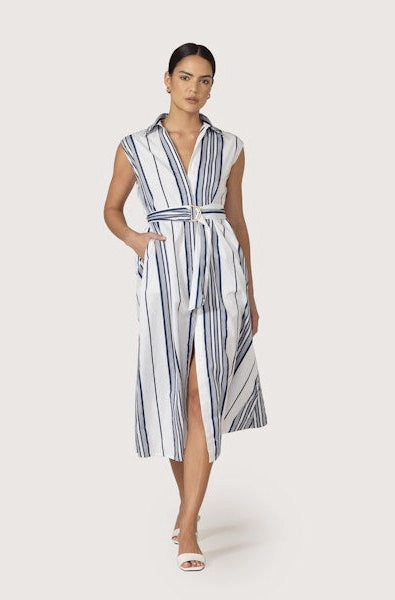 Casual Must-Have Chloe Belted Poplin Dress in Shadow Stripe
