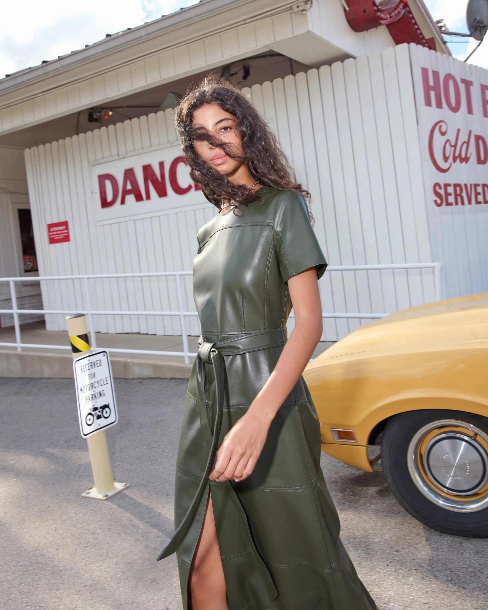 Ella Dress Elegant Everyday